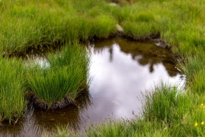 Contaminazione accidentale del suolo e delle acque